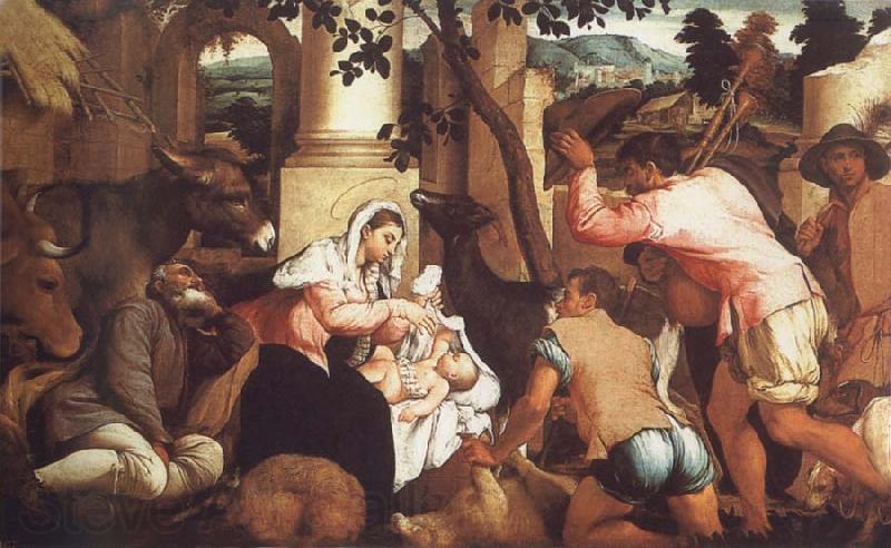 Jacopo Bassano The Adoration of the Shepherds Germany oil painting art